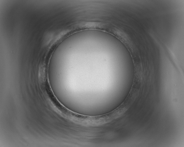 X0000081370016200701111600