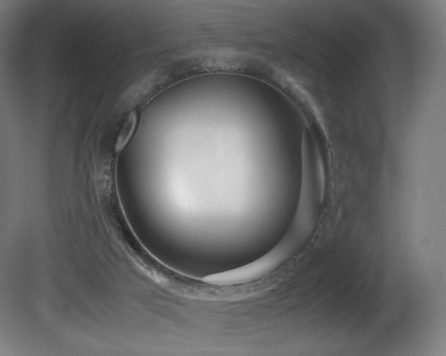 X0000081370017200701111600