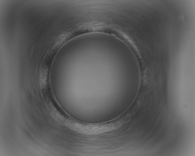 X0000081370018200701111600