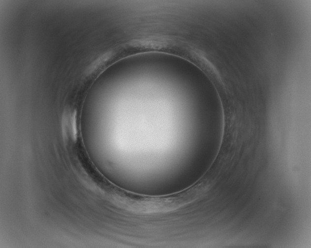 X0000081370020200701111600