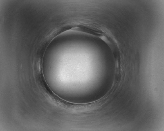 X0000081370021200701111600