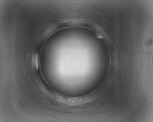 X0000081370022200701111600