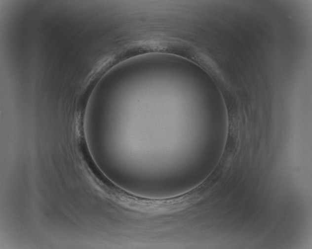 X0000081370023200701111600