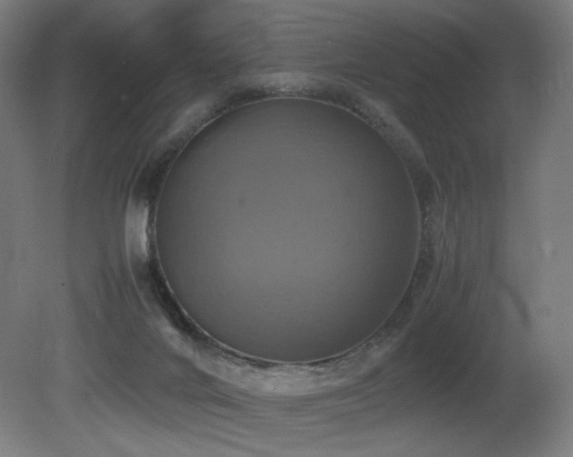 X0000081370024200701111600