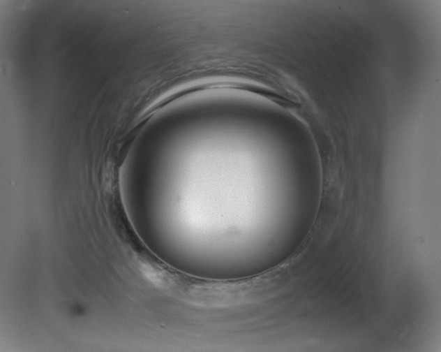 X0000081370025200701111600
