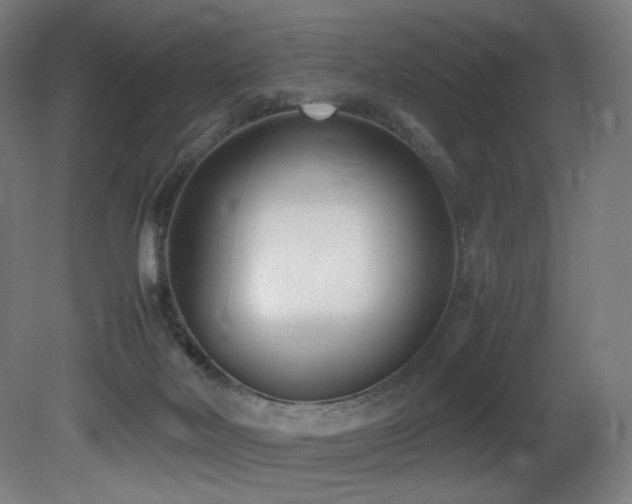 X0000081370026200701111600