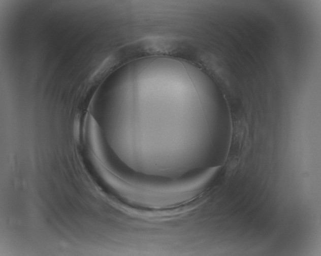 X0000081370027200701111600