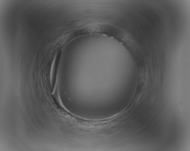 X0000081370029200701111559