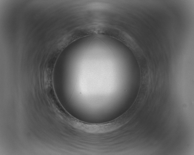 X0000081370030200701111559
