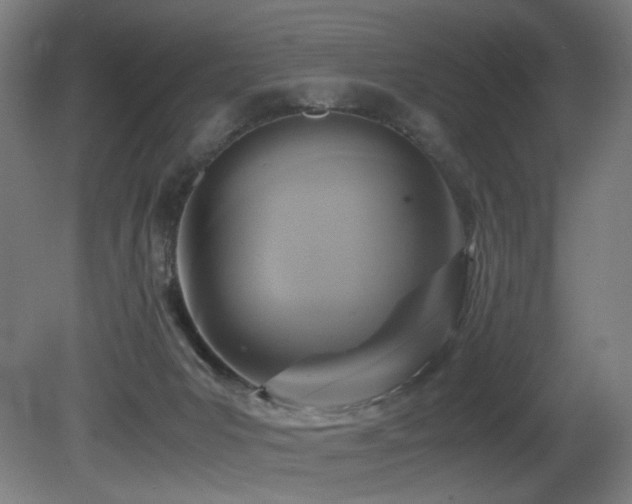 X0000081370031200701111559