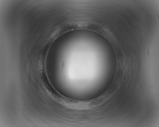 X0000081370032200701111559