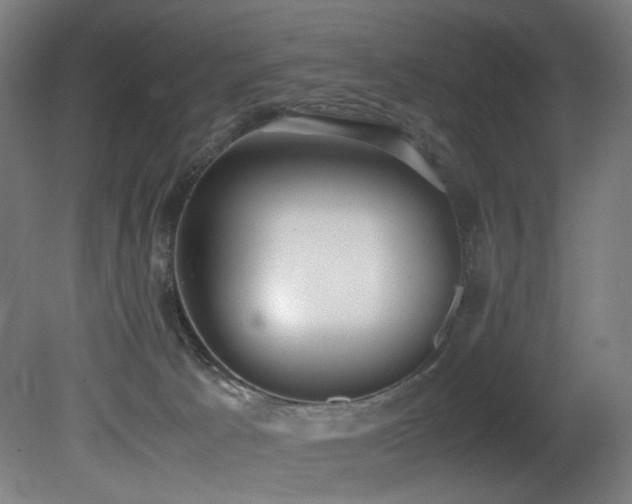 X0000081370033200701111559