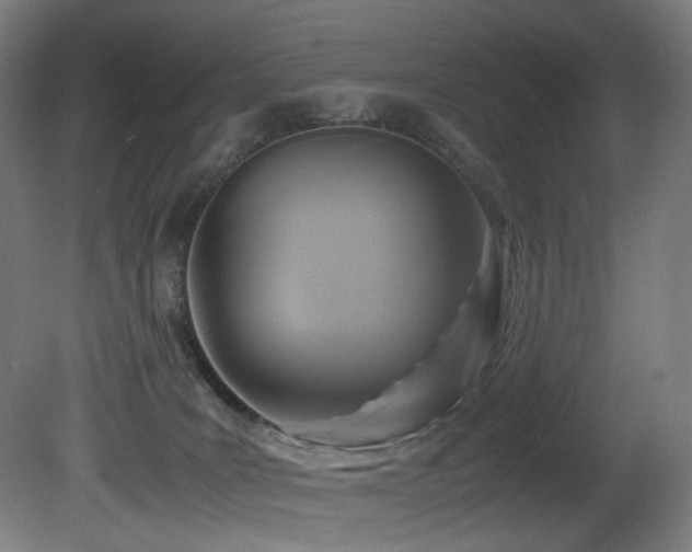 X0000081370035200701111559