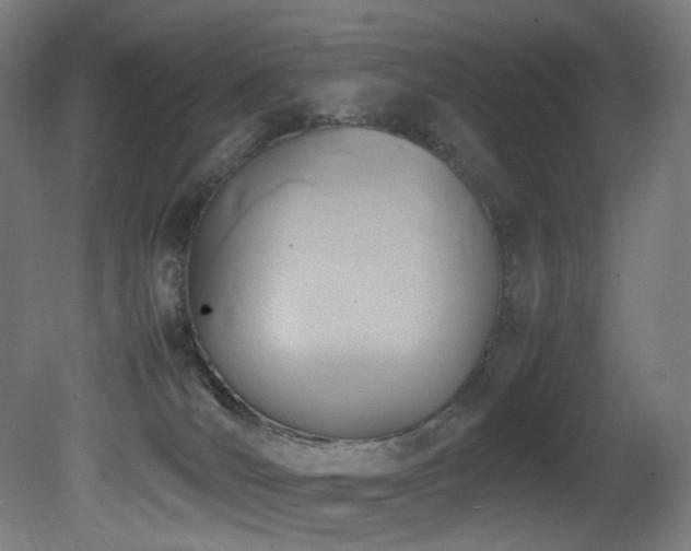 X0000081370036200701111559