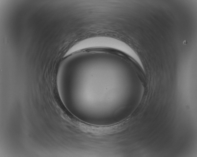 X0000081370039200701111559