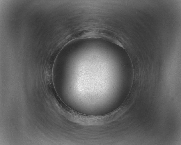 X0000081370040200701111559