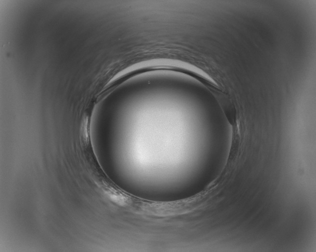 X0000081370041200701111559