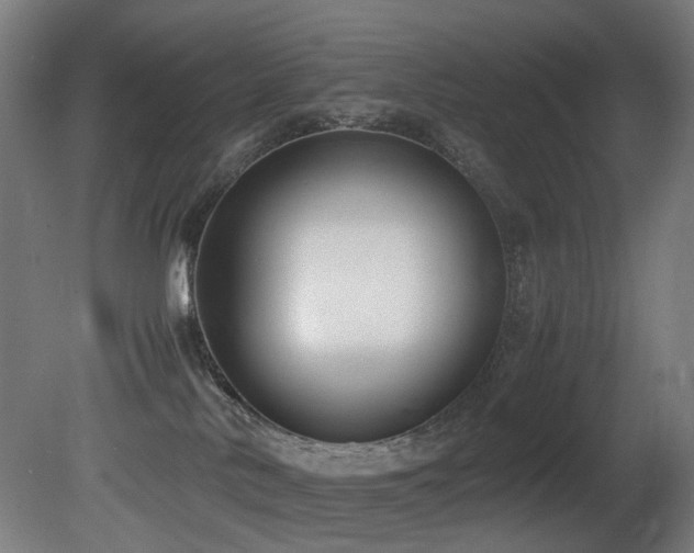X0000081370042200701111559