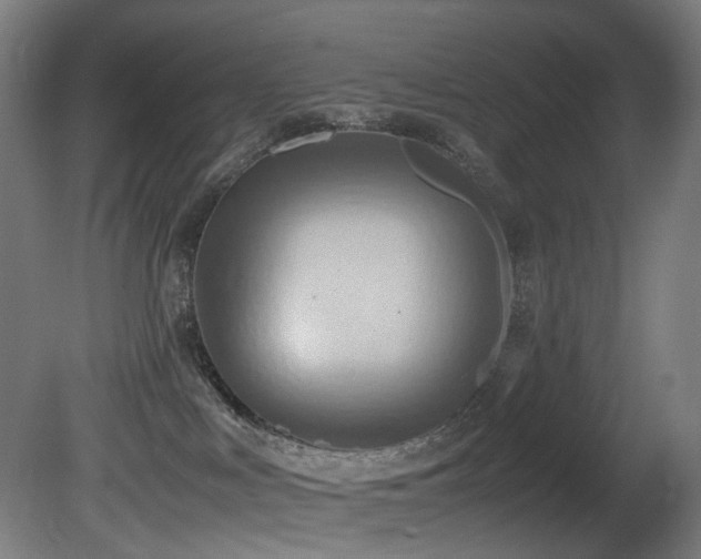 X0000081370043200701111559