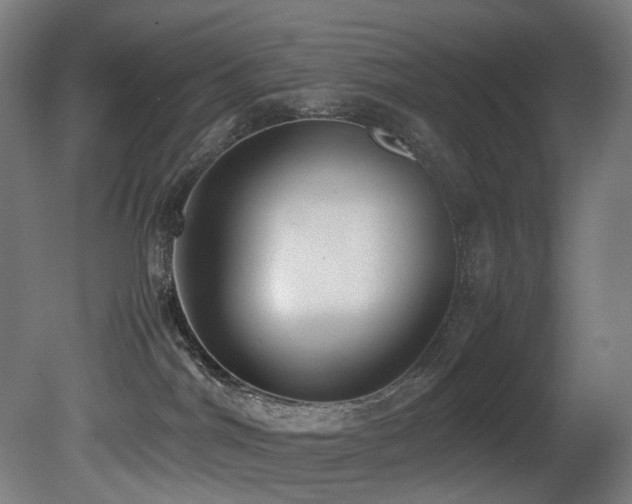 X0000081370044200701111559