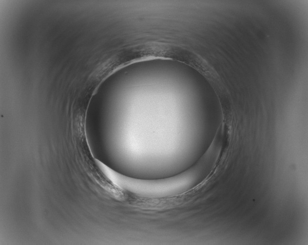 X0000081370045200701111559