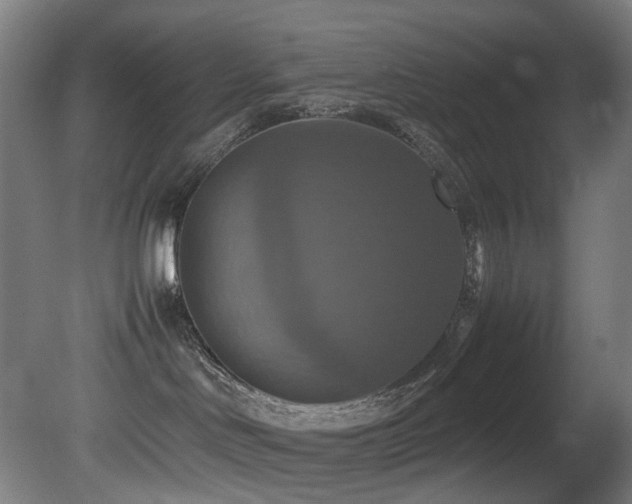X0000081370046200701111559