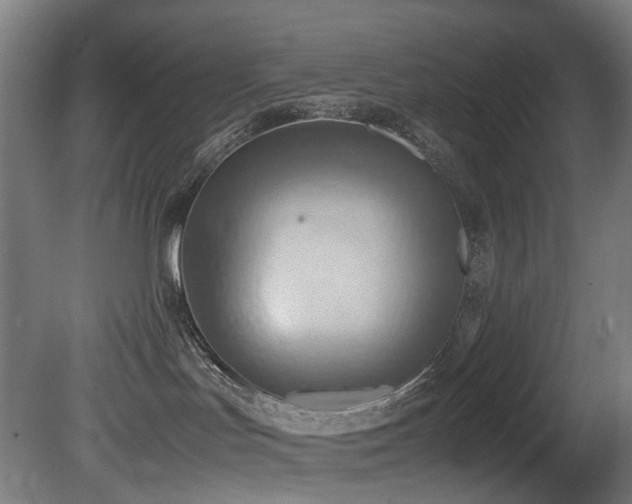 X0000081370047200701111559
