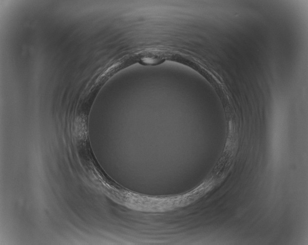 X0000081370048200701111559