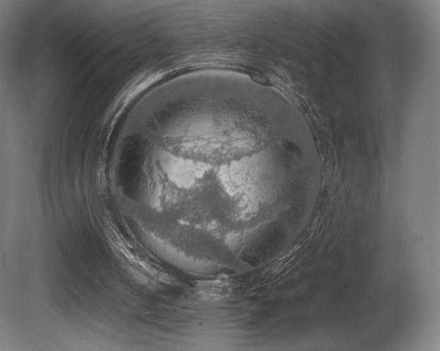 X0000081370050200701111558