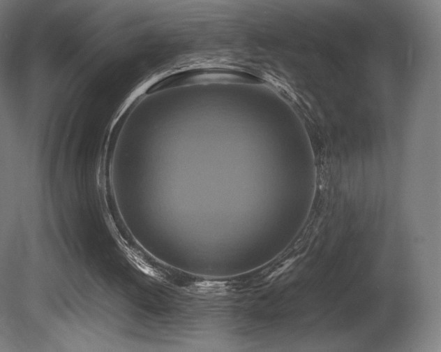 X0000081370052200701111558