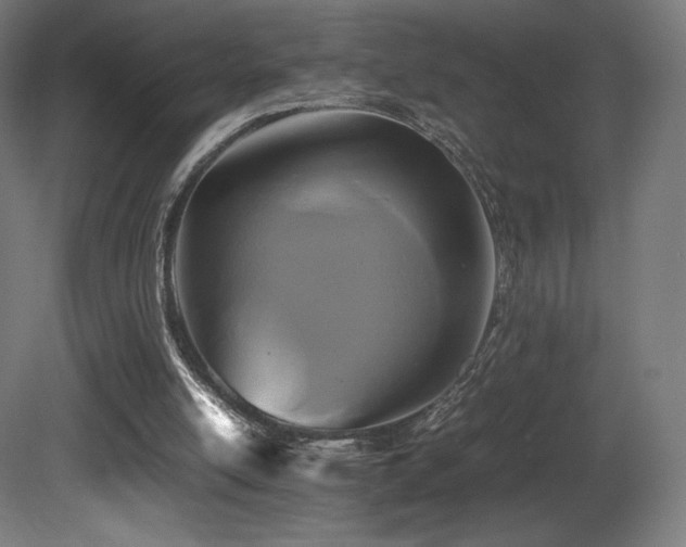 X0000081370054200701111558