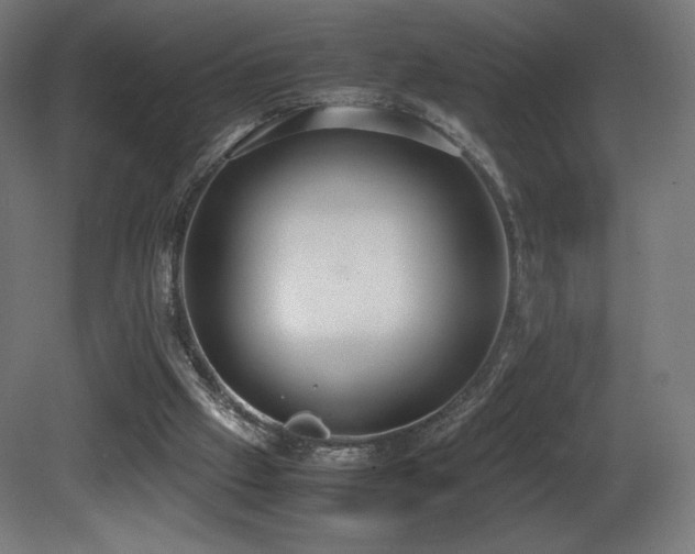 X0000081370057200701111558