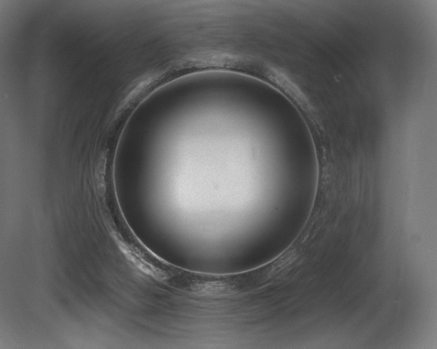 X0000081370058200701111559
