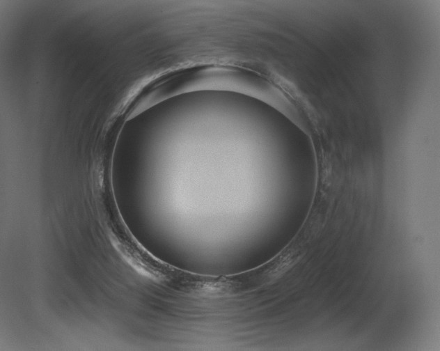 X0000081370060200701111559