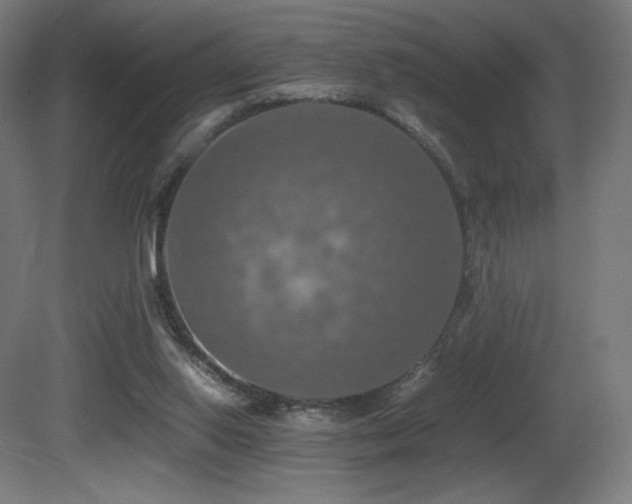 X0000081370062200701111559