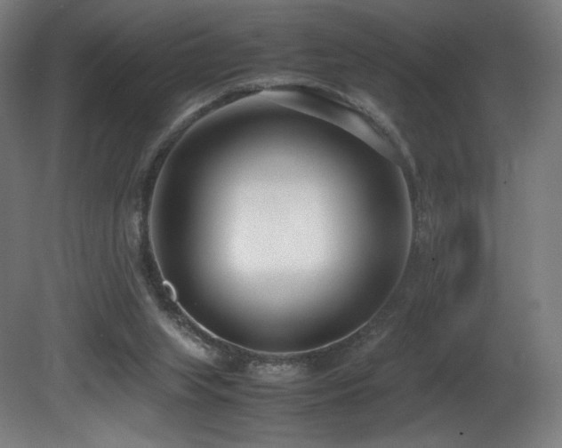 X0000081370063200701111559