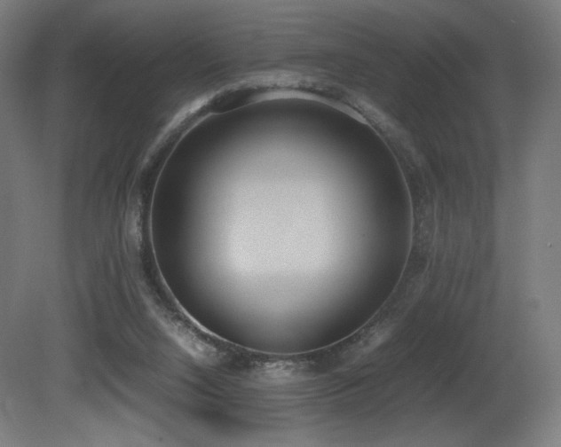 X0000081370064200701111559