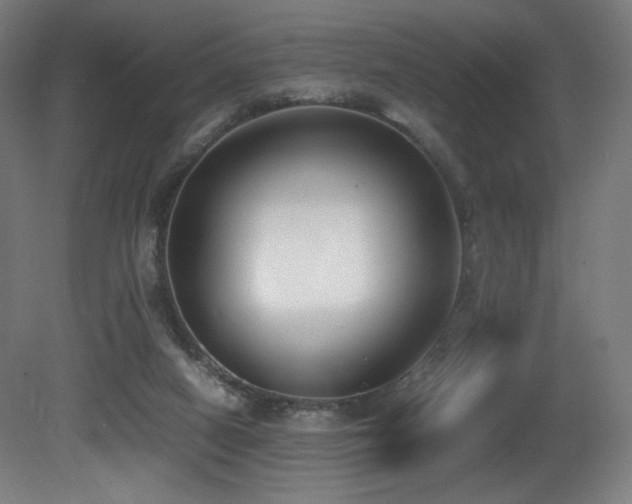 X0000081370066200701111559