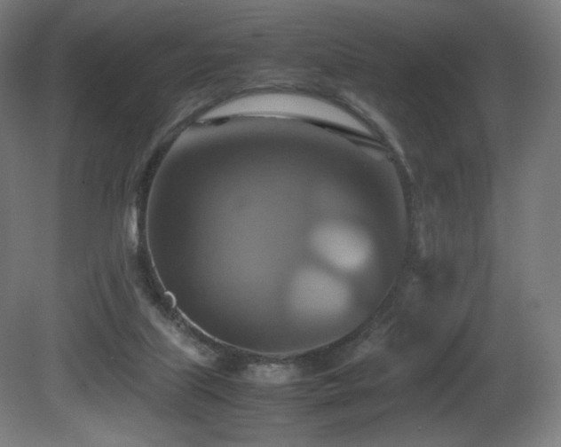 X0000081370067200701111559