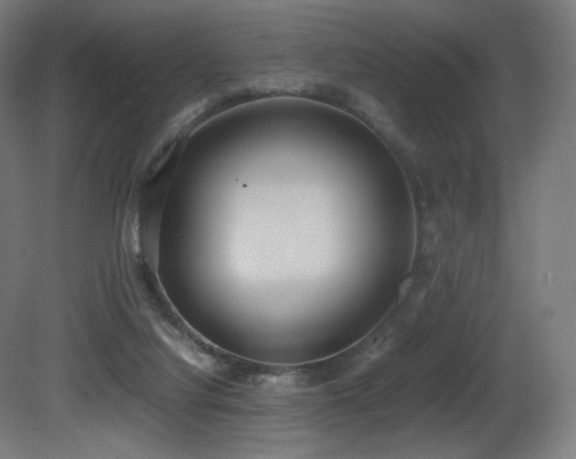 X0000081370068200701111559