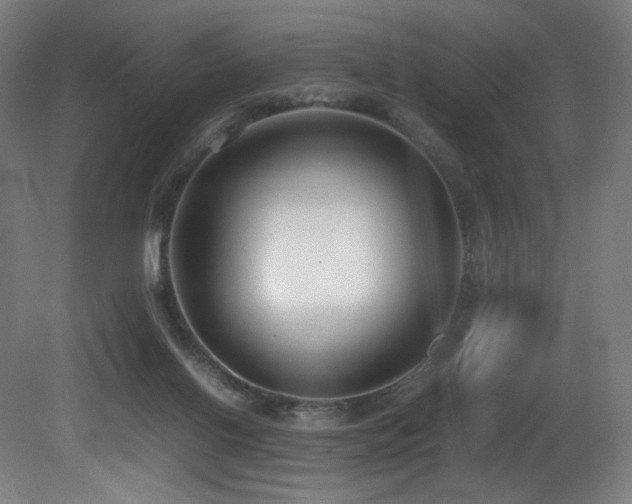 X0000081370070200701111559