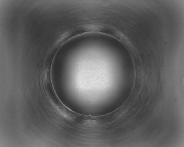 X0000081370071200701111559