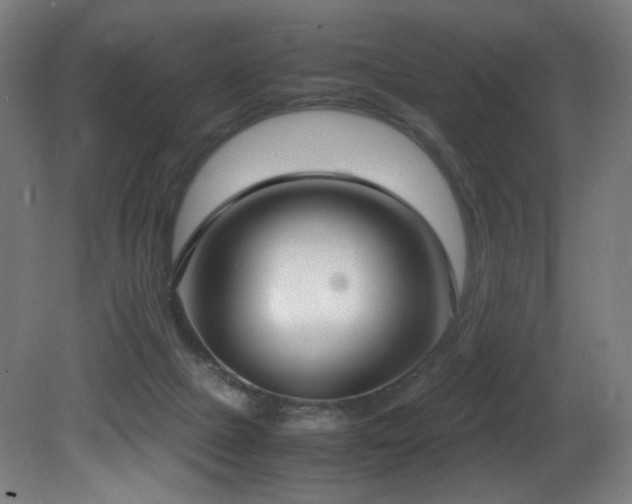 X0000081370073200701111559