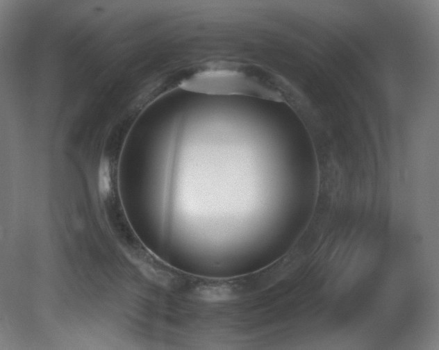 X0000081370075200701111559