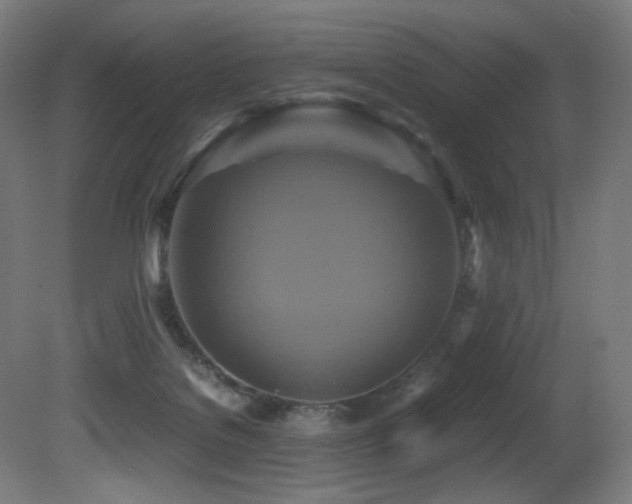 X0000081370076200701111559