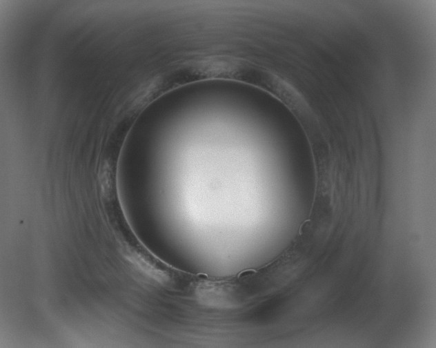 X0000081370077200701111559