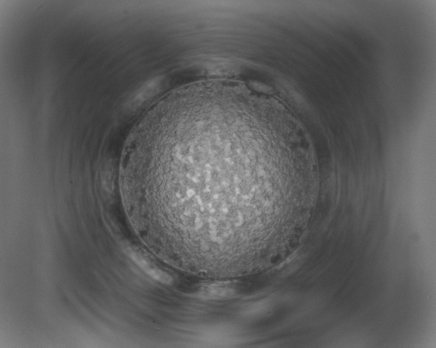 X0000081370078200701111559
