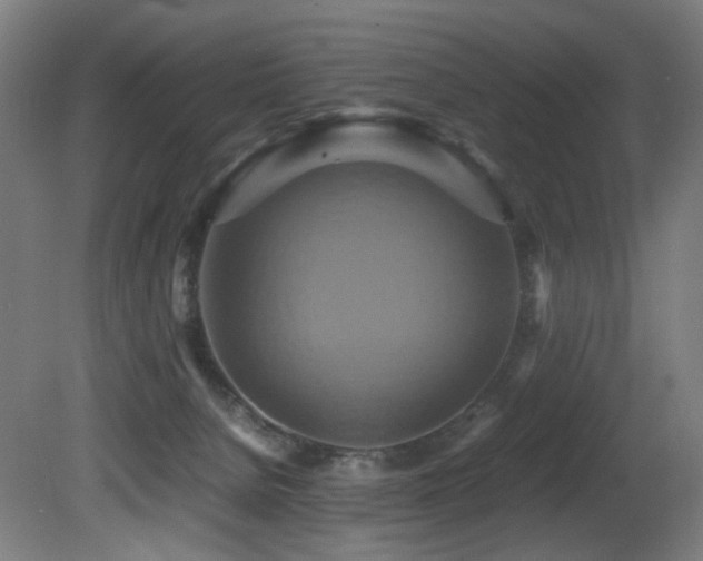 X0000081370080200701111559