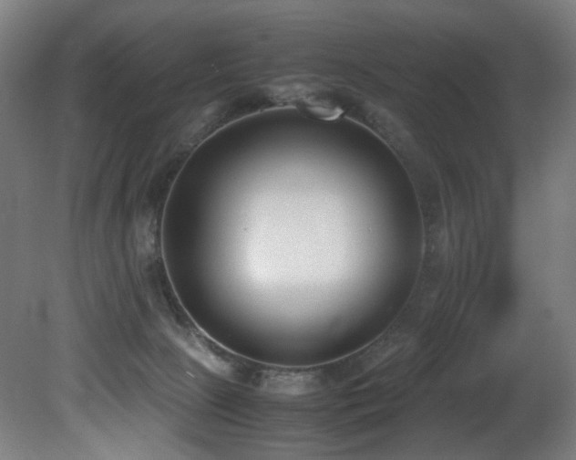 X0000081370081200701111559