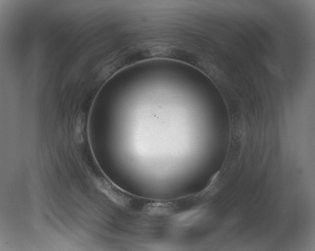 X0000081370082200701111559